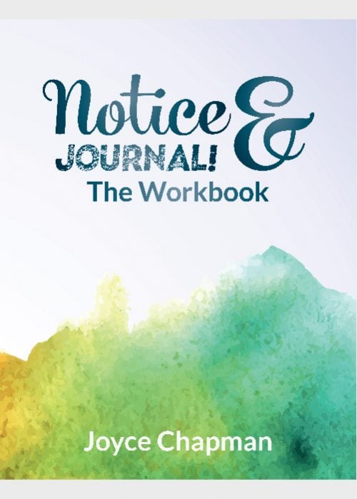 Notice & Journal: The Workbook