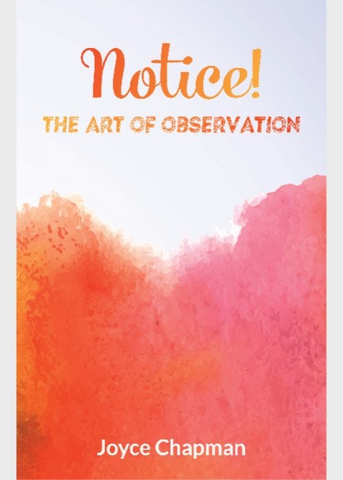 Notice The Art of Observation
