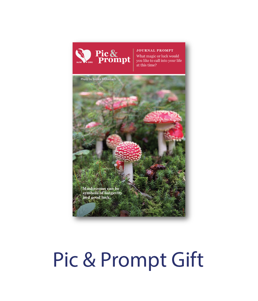 Sign Up For Our Inspiring Journaling Museletter The International Sign Up For Our Inspiring Journaling Museletter The International