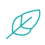 Teal Leaf Icon 
